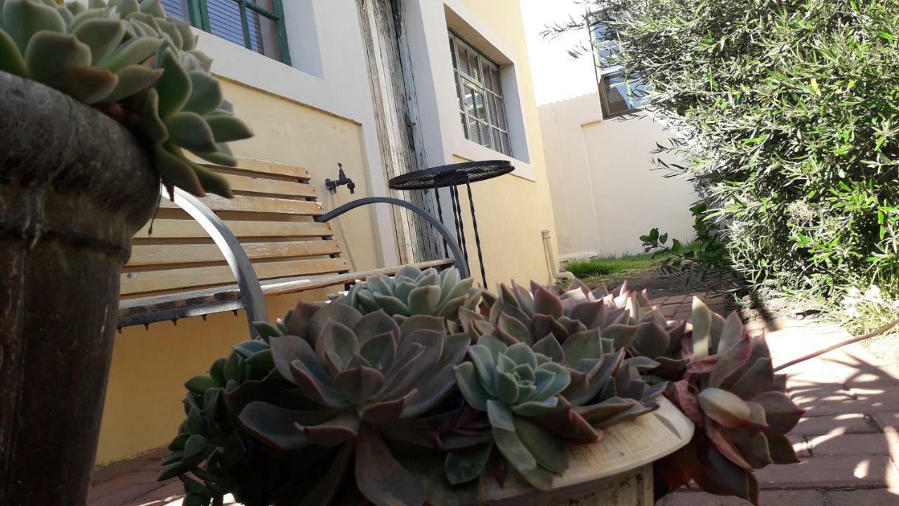 Calvinia Guesthouse Dış mekan fotoğraf