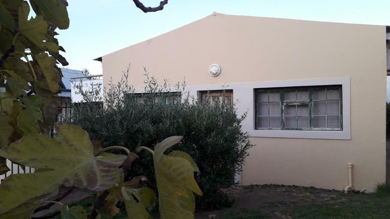 Calvinia Guesthouse Dış mekan fotoğraf